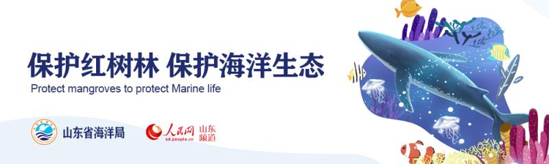 關心海洋、認識海洋、經略海洋珍惜海洋資源 保護海洋生物多樣性