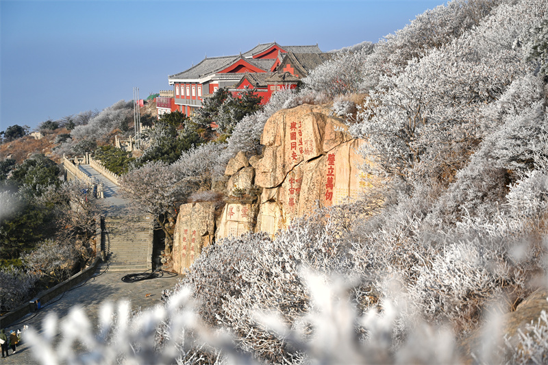 泰山之巔現霧凇奇觀,岱頂開啟仙境模式。劉春蓮攝