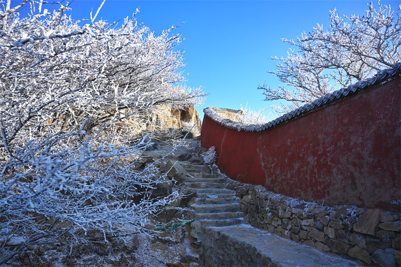 泰山之巔現(xiàn)霧凇奇觀，岱頂開啟仙境模式。劉春蓮攝