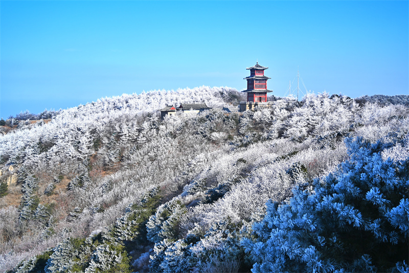 近日，泰山之巔現(xiàn)霧凇奇觀，岱頂開啟仙境模式。劉春蓮攝