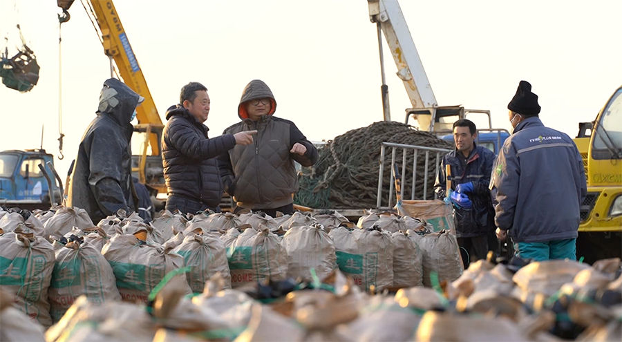 嵐山區海虹因產量高、品質優，且營養價值高，廣受消費者喜愛。姚文鳳攝