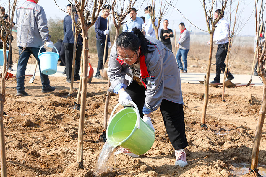 圖為日照市群眾參加公益植樹活動。王勇攝