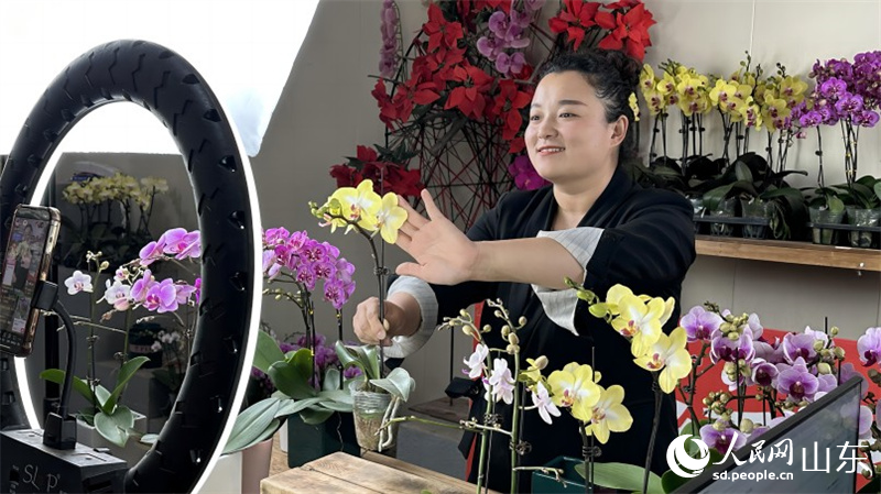 在山東濰坊青州花卉直播電商產(chǎn)業(yè)園里，主播正在向網(wǎng)友介紹蝴蝶蘭。人民網(wǎng) 喬姝攝