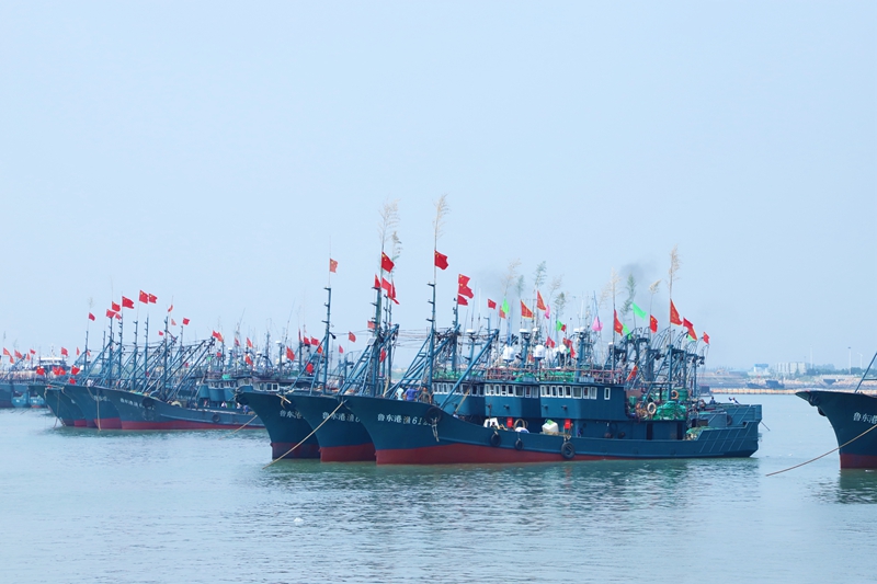 在日照黃海中心漁港,漁船整裝待發。宋年升攝