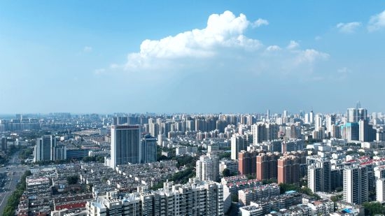 南辛莊：提升營商環境，跑出“項目深化年”的加速度