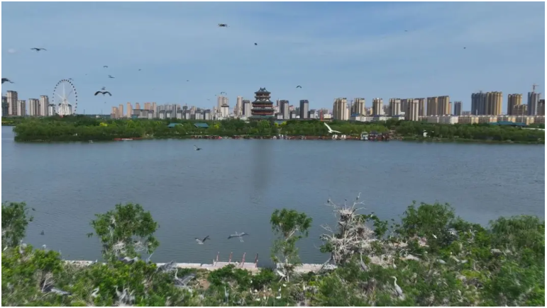 文亭湖美景。