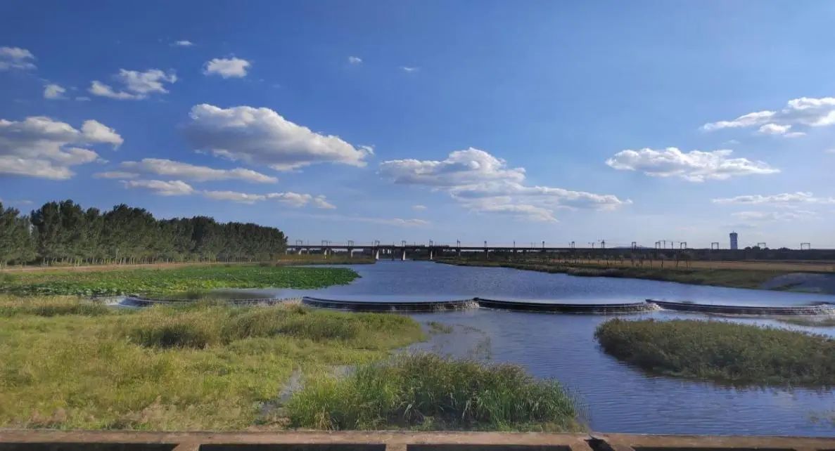 海子河（濕地公園段）美景。