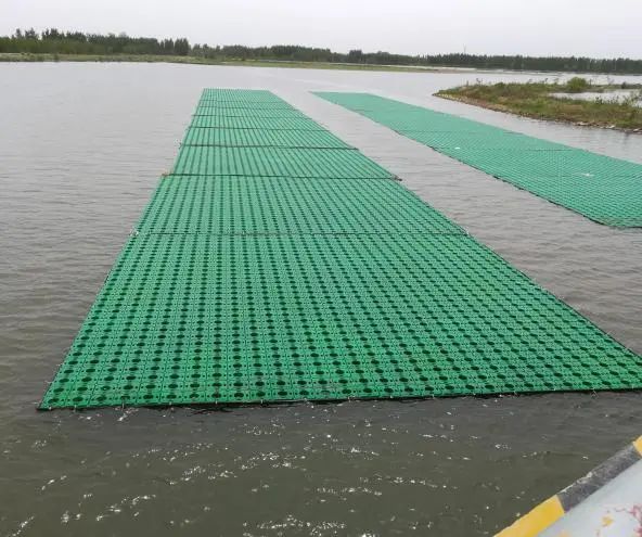生態浮島建設前。