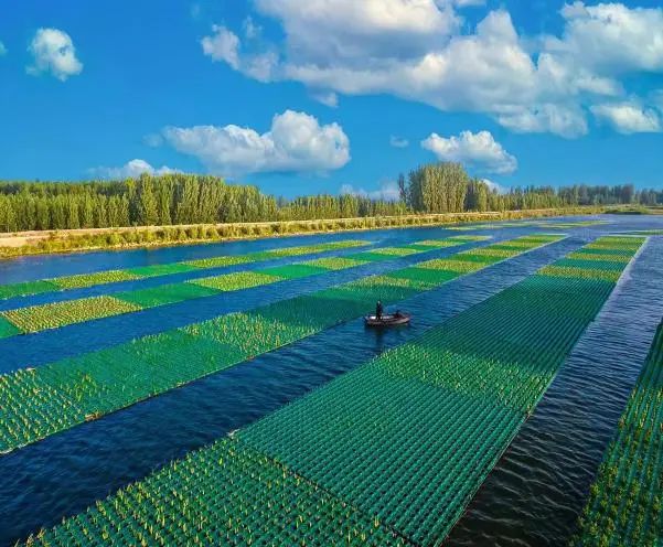 生態浮島建設后。
