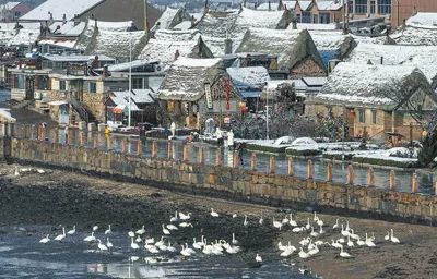雪后的煙墩角村景色。澳大利亞籍游客 約翰遜·帕特里夏·安攝