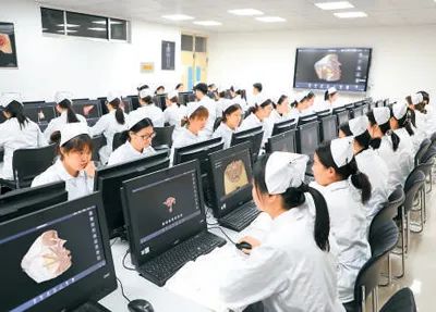 醫(yī)學(xué)技術(shù)與護理系學(xué)生運用人體解剖虛擬仿真資源進行自主學(xué)習(xí)。
