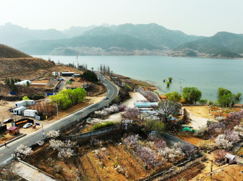 村莊依山傍水，花開正艷。