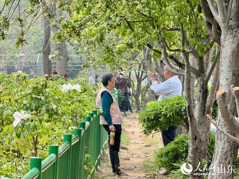 游客們駐足拍照。人民網 鄭昕橋攝