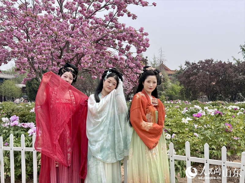 身穿漢服的游客們正在牡丹花前合影留念。人民網 鄭昕橋攝