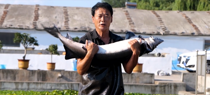 臨朐縣養(yǎng)殖成品魚等技術(shù)已經(jīng)非常成熟。臨朐縣委宣傳部供圖