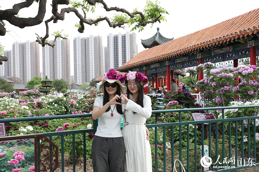 圖6）在菏澤市牡丹區(qū)曹州百花園內(nèi)，游客頭戴牡丹花環(huán)拍照打卡。人民網(wǎng)記者 劉祺攝
