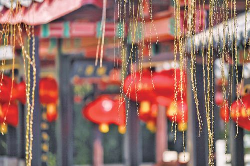 春意濃濃！五龍潭畔柳樹冒新芽